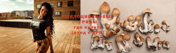 спайс Зеленокумск