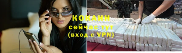 apvp Тобольск