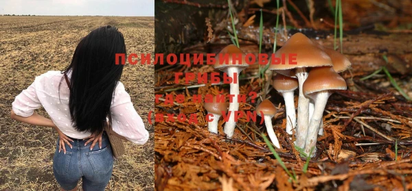 альфа пвп Зеленодольск